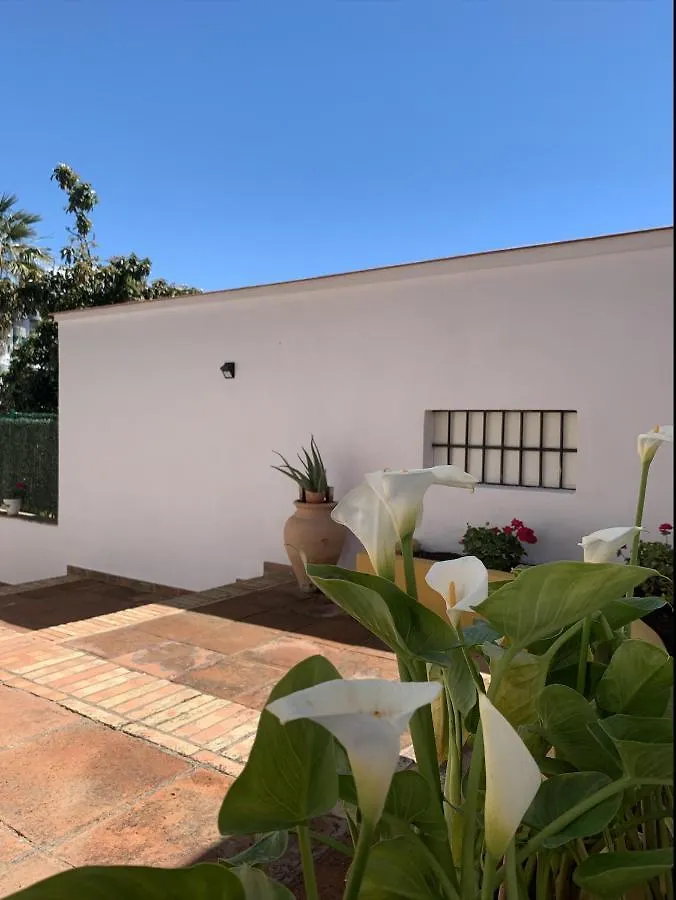 Apartment A Estrenar Preciosa Suite-Centrico-Con Jardin Y Porche Torremolinos Spain